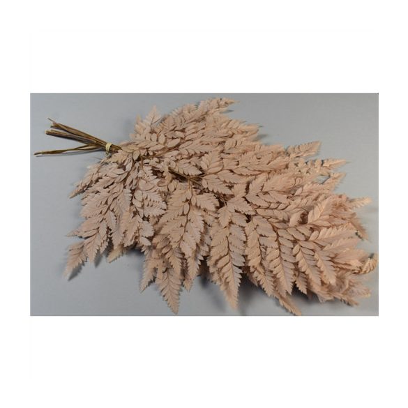 Páfrány preparátum - Világos barna S/10