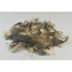 Toll (gyöngytyúk) 10g/csom.