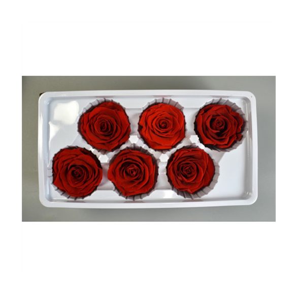 Örökrózsa 6cm - Piros (6db/dob)