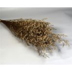 Sóvirág Limonium latifolium prep. - Fehér