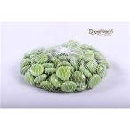 Dekor üvegkavics zöld 19mm 500g hálós