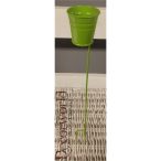 Kaspó betűző zöld H30cm, D4.3cm