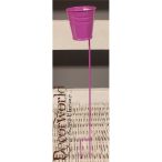 Kaspó betűző lila H30cm, D4.3cm