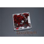 Kristály kő acryl 10mm piros S/100