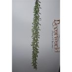 Asparagus 100cm zöld