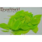 Toll 8x3cm - Zöld (kb. 65db)