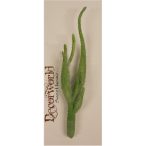 Pozsgás mix művirág - Zöld