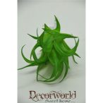 Pozsgás növény műanyag - Zöld