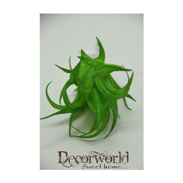 Pozsgás növény műanyag - Zöld