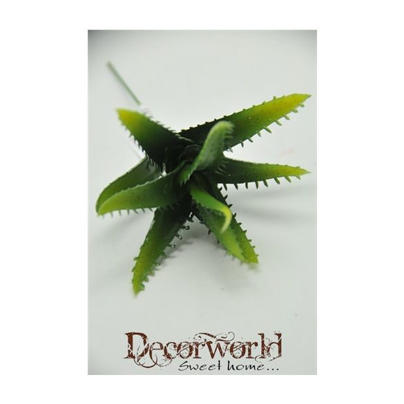 Pozsgás növény műanyag - Zöld