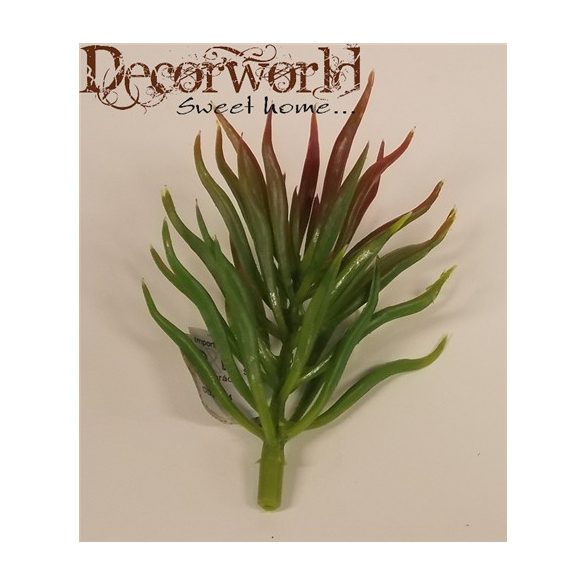 Pozsgás mix művirág zöld