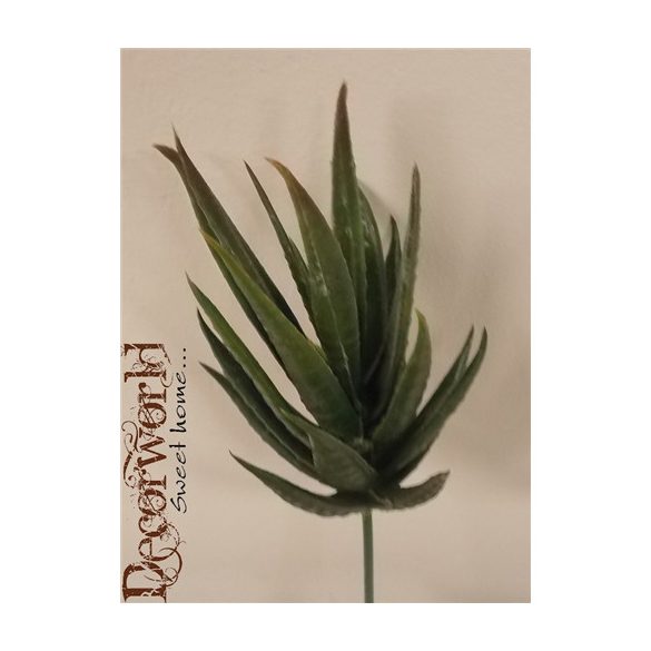 Pozsgás mix művirág - Zöld