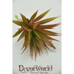 Pozsgás növény műanyag