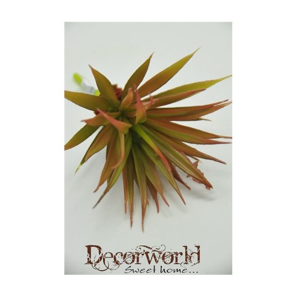 Pozsgás növény műanyag