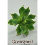 Pozsgás növény műa. zöld