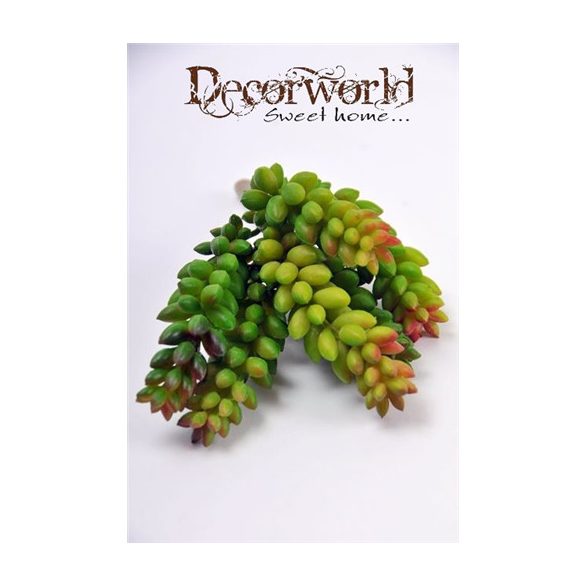 Pozsgás mix művirág zöld