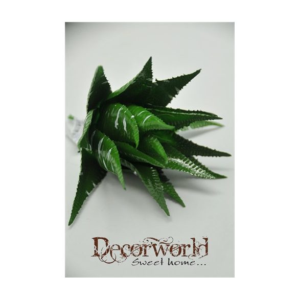 Pozsgás növény műanyag - Zöld