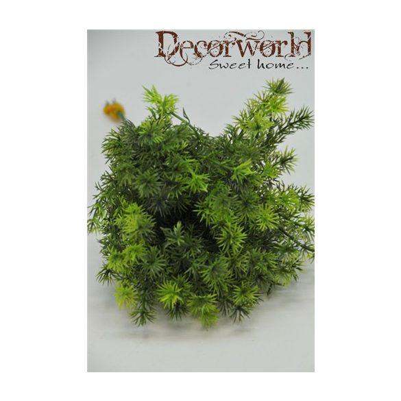 Páfrány levél műa. zöld