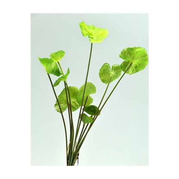 Selyemvirág tavirózsa ág műanyag - Zöld