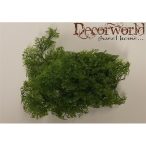 Selyem páfrány műa. zöld