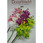 Phalaenopsis Orchidea műa. színes többféle