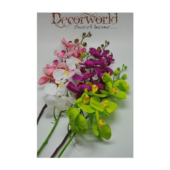 Phalaenopsis Orchidea műa. színes többféle