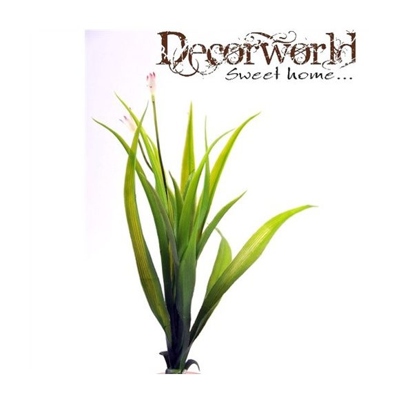 Selyemvirág Vízi sás 30cm