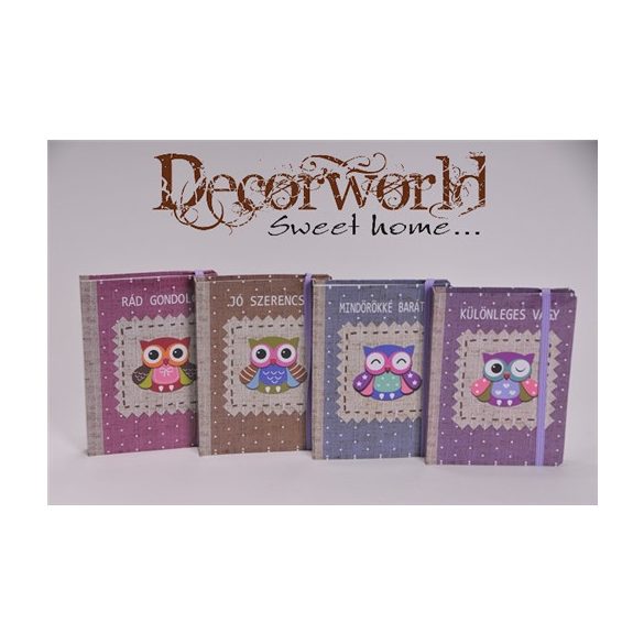 Füzet bagoly mintával papír 11x15cm színes 4 féle