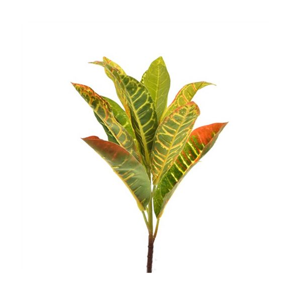 Selyemvirág Croton 34cm