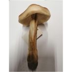 Betüzös gomba polyfoam 15 cm barna-krém