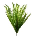 Páfránylevél csokorban 70cm - Zöld