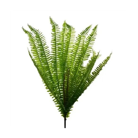 Páfránylevél csokorban 70cm - Zöld