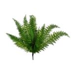 Páfránylevél csokorban 55cm - Zöld