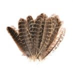 Toll 15cm natúr S/50