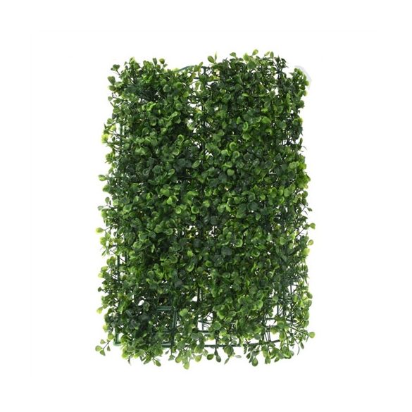Buxus négyzet 40x60 cm - Zöld