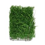   Selyemvirág páfrány, fű levéllel négyzet műanyag 40x60cm zöld