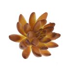 Pozsgás betűzős műanyag 6x10cm - Barna