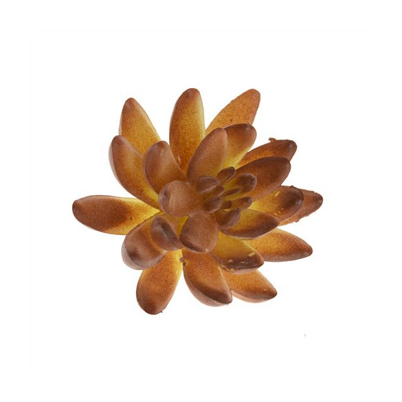 Pozsgás betűzős műanyag 6x10cm - Barna