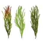 Futónövény 87cm - 3 színben