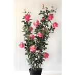   Rózsabokor selyemvirág műanyag kaspóban 167 cm - Rózsaszín/sárga