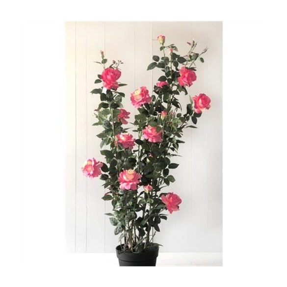 Rózsabokor selyemvirág műanyag kaspóban 167 cm - Rózsaszín/sárga