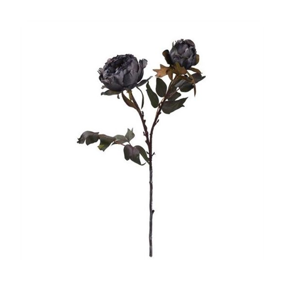 Peonia szálas 50cm - Fekete