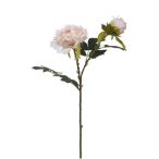 Peonia fodros szálas 52cm - Krém