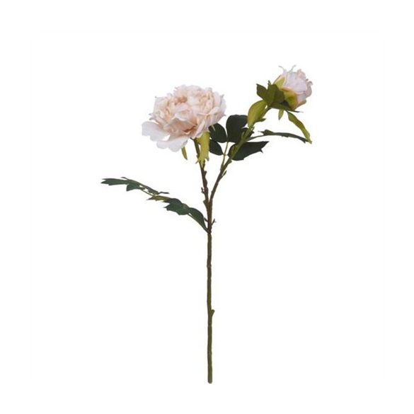 Peonia fodros szálas 52cm - Krém