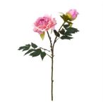 Peonia selyemvirág fodros, szálas 52cm - Rózsaszín