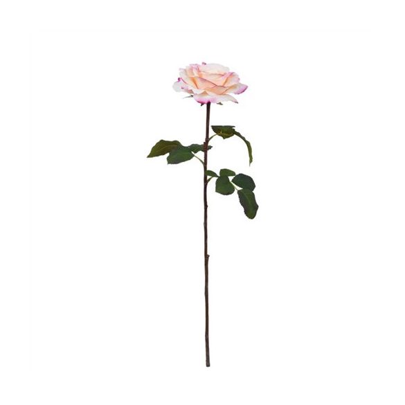 Rózsa szálas kerti 67cm - Krém