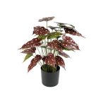 Alokázia pöttyös 40cm - Piros (műanyag cserépben)