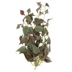 Selyemvirág futó pletyka 35cm