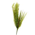 Selyemvirág páfrány 69cm