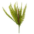 Páfrány 60cm - Zöld